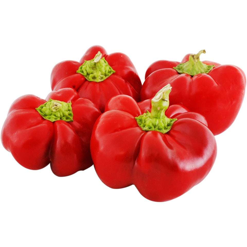 GOGOSARI 1KG