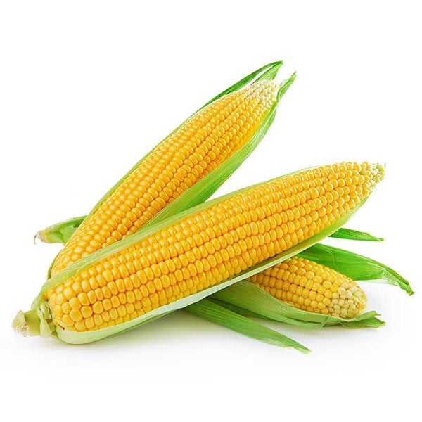 PORUMB DE FIERT