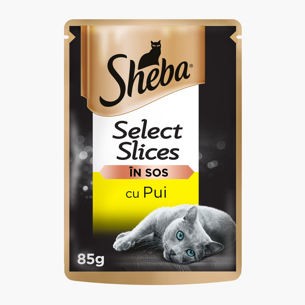 HRANA PENTRU PISICI SHEBA PLIC 85G